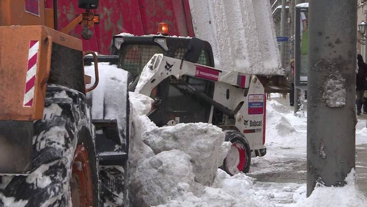 Hubo un muerto y heridos por la caída de árboles que dejó el temporal