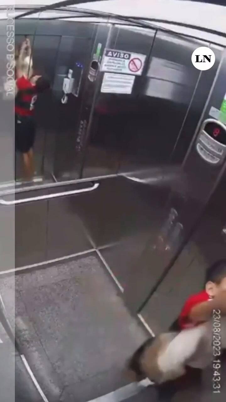 Un niño salvó a su perrita de morir en un ascensor