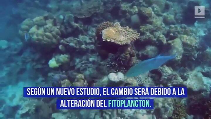 El cambio climático alterará los colores de los océanos de la Tierra - Fuente: Reuters