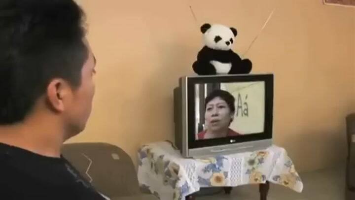 Delfín Hasta El Fin, La Tigresa Del Oriente Y Wendy Sulca - En Tus Tierras Bailaré