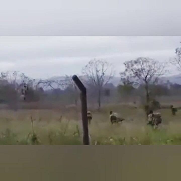 Despliegue del Ejército en Salvador Mazza, en la frontera de Salta con Bolivia