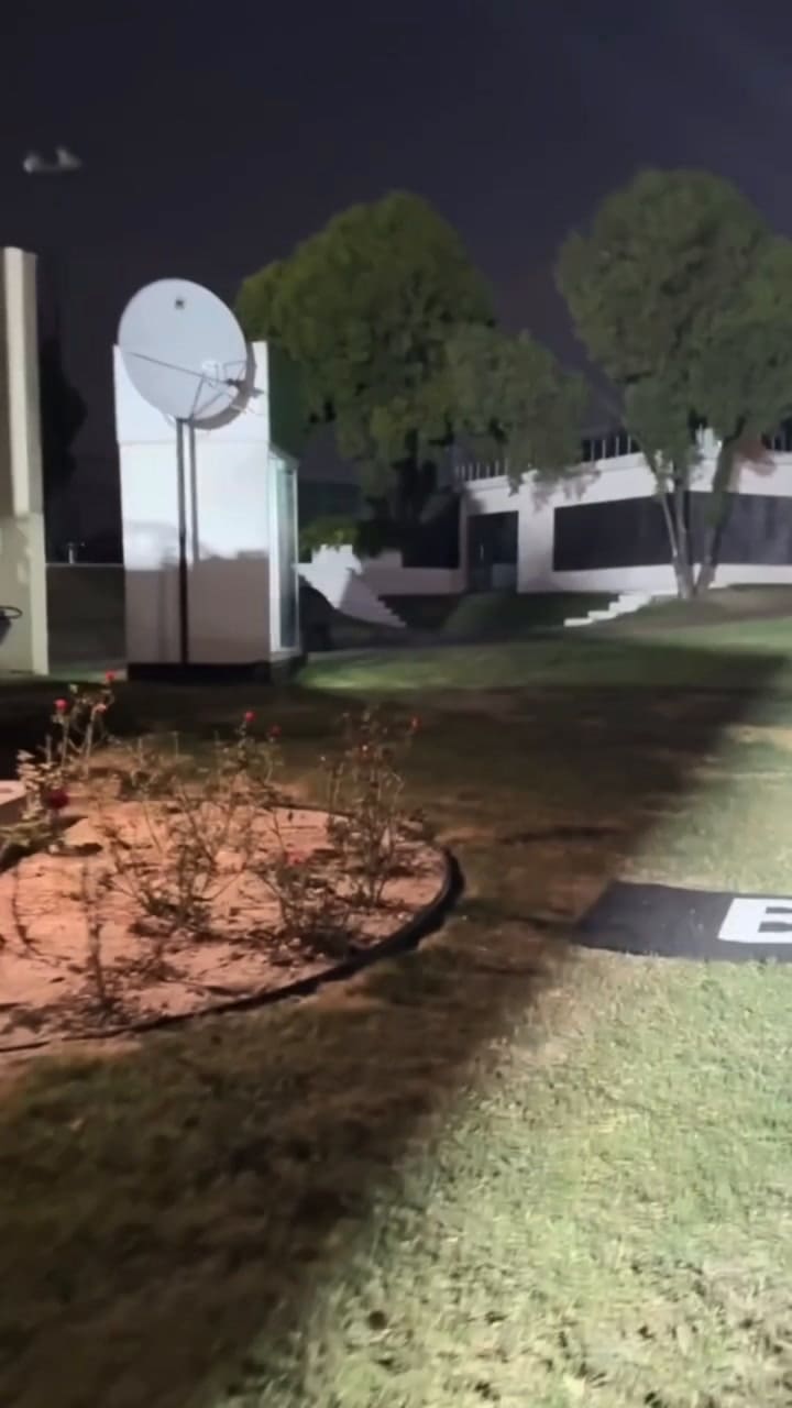 Un oso se metió en el patio de Eva Anderson