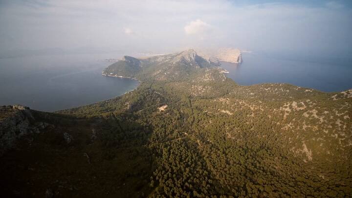 FORMENTOR, EL MAR DE LAS PALABRAS