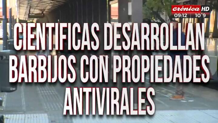 Lanzamiento: cómo es y cuánto cuesta el 'superbarbijo' que diseñó el Conicet - Fuente: Crónica TV