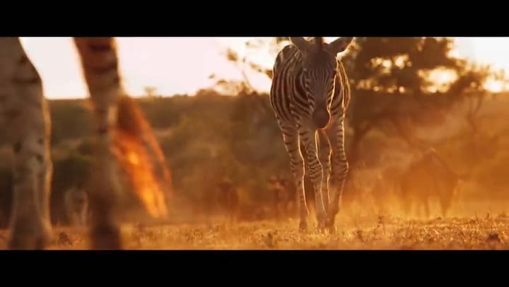 Trailer de Mi mascota es un león - Fuente: YouTube