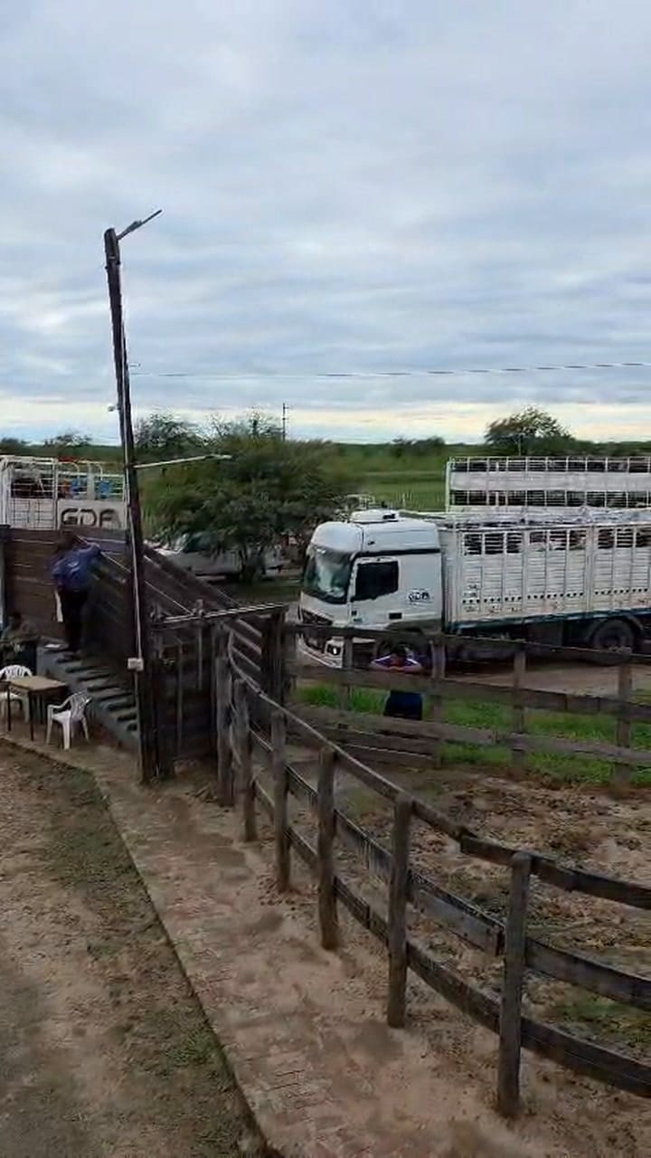 En Formosa el gobierno de Insfran monta un operativo policial contra el senador Paoltroni para que no realice su remate de hacienda mensual