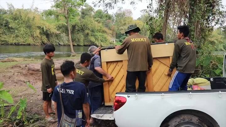 Toca el piano para un elefante rescatado y el resultado es hermoso - Fuente: YouTube @Paul Barton
