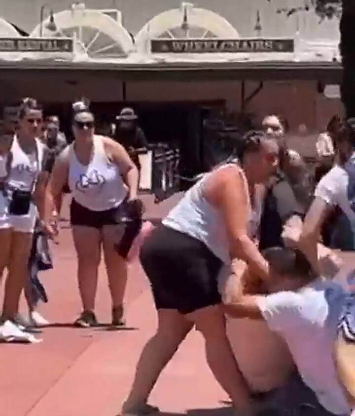 Los visitantes del parque grabaron la pelea y la compartieron en redes sociales