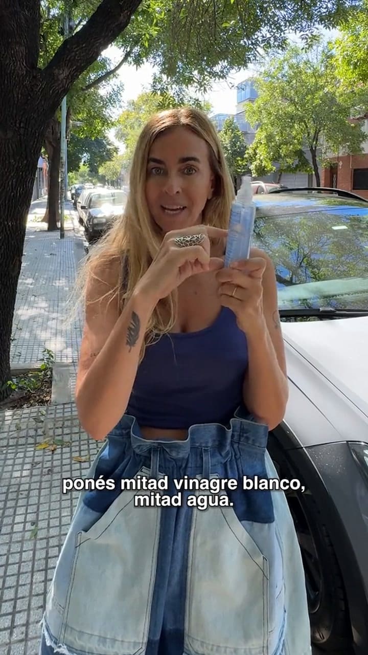 Cómo quitar las manchas y malos olores del auto con vinagre