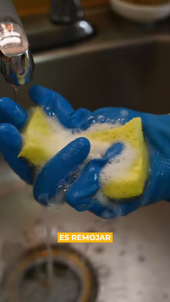 Una especialista reveló la frecuencia ideal para limpiar la esponja de lavar platos