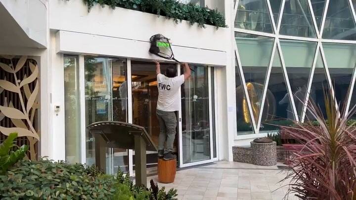 Un tecolote llanero se embarcó en un crucero de Florida por dos semanas