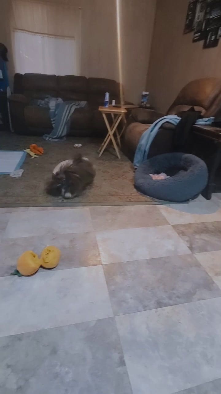 Spent A Week At Mum's House And Now Finally Home Where All My Stuff Is