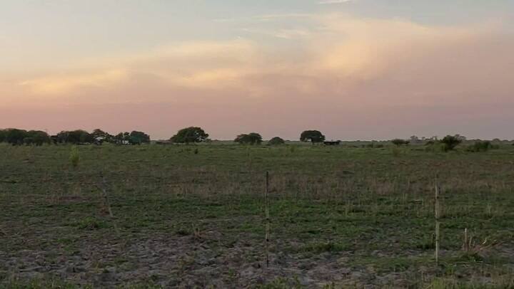 Delincuentes robaron un avión, se quedaron sin combustible, cayeron y murieron en el acto