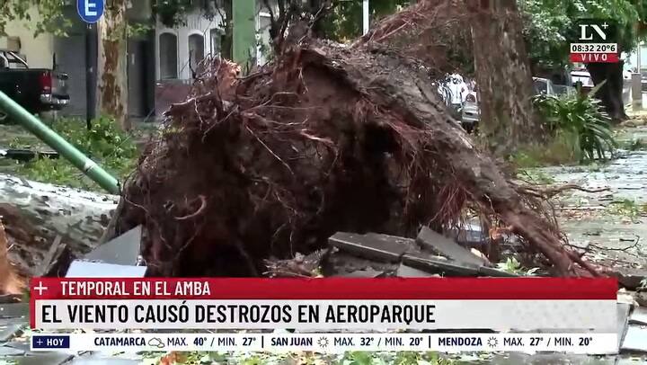 El temporal causó destrozos en el AMBA: cortes de luz y árboles caídos