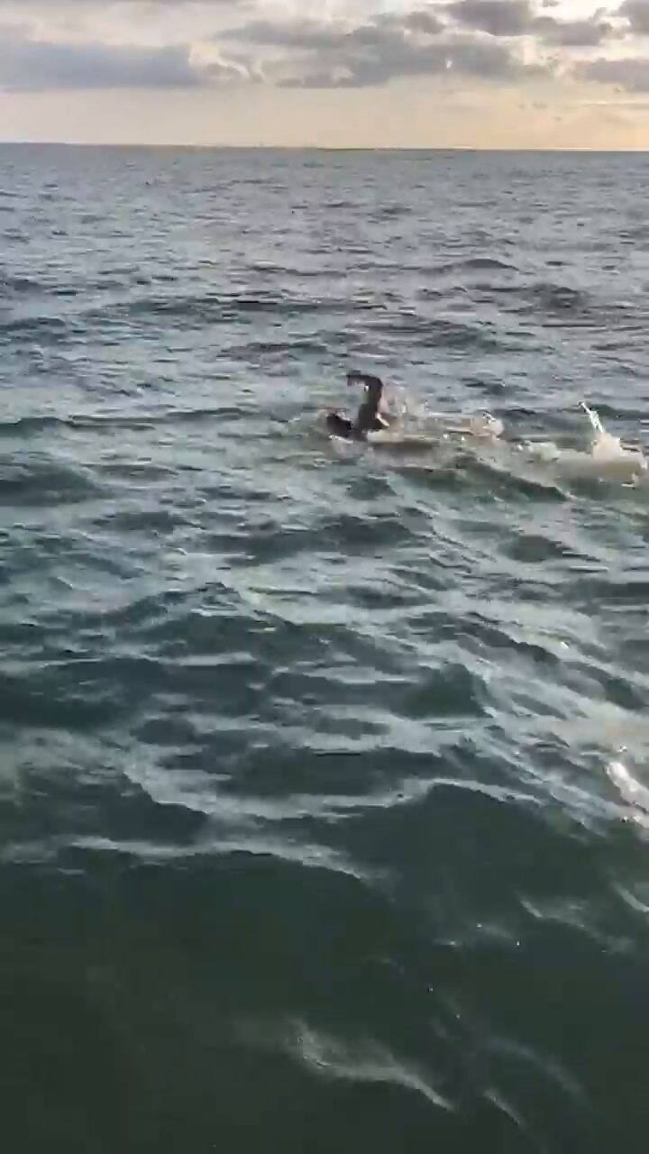 El nadador Matías Ola trató de cruzar el Canal de la Mancha