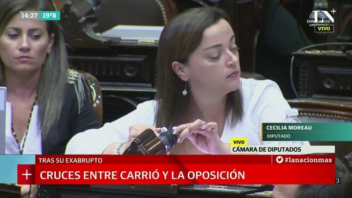 Diputados: Cecilia Moreau pasa un audio en el que Raúl Alfonsín habla de Carrió