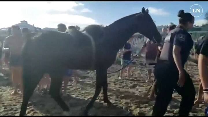 Mar del Plata: entró a la playa con un caballo y lo detuvieron a golpes