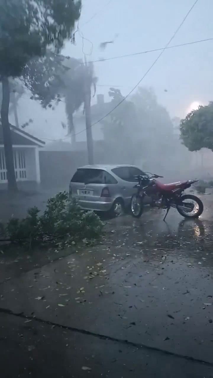 Así se movían los árboles en medio del viento en Casilda
