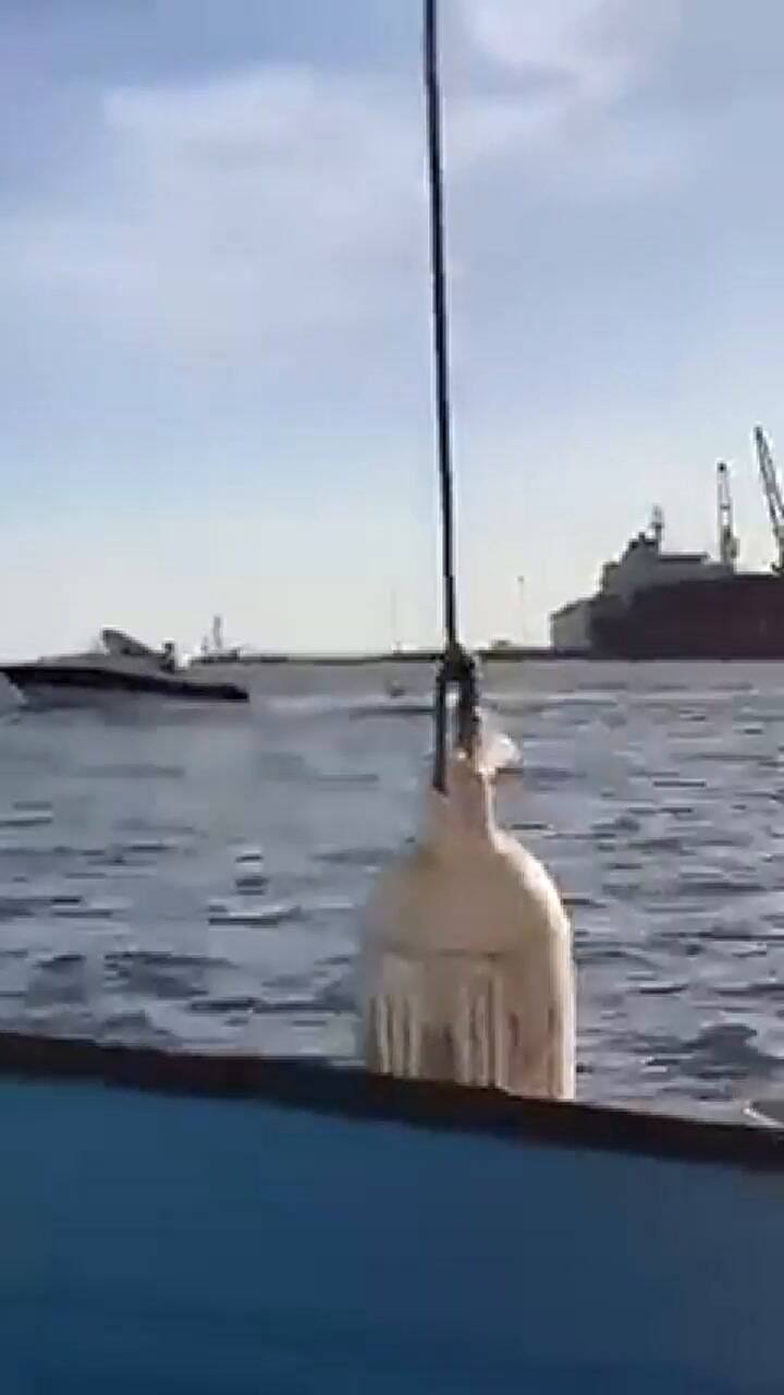Ballena salta sobre un yate en Sinaloa