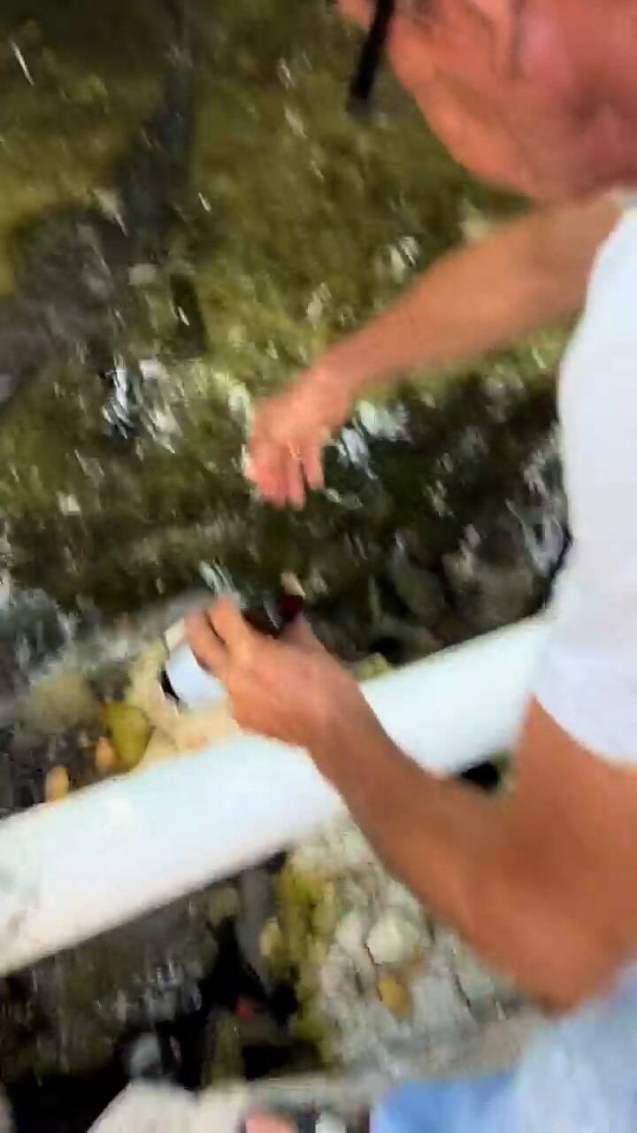 El hombre tiene a un cocodrilo como mascota