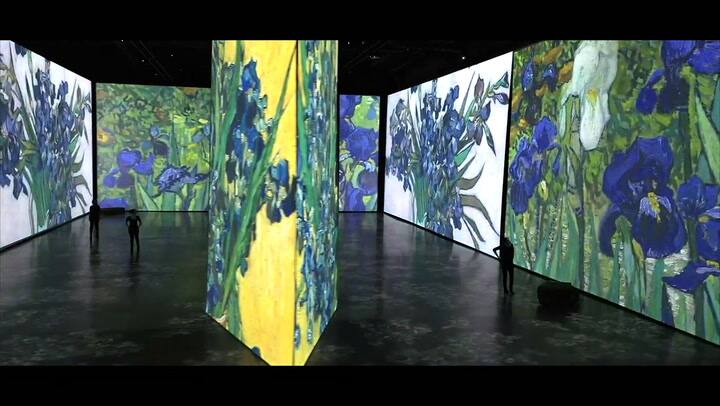 Continúa el furor local por la muestra inmersiva Imagine Van Gogh