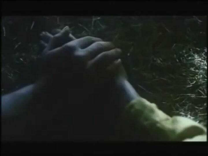 Los amantes del Pont Neuf - Fuente: YouTube