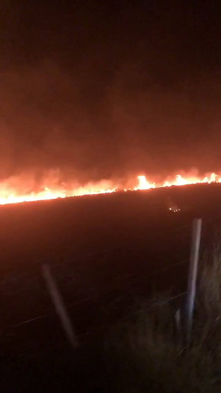 Campo de Marcelo Breard