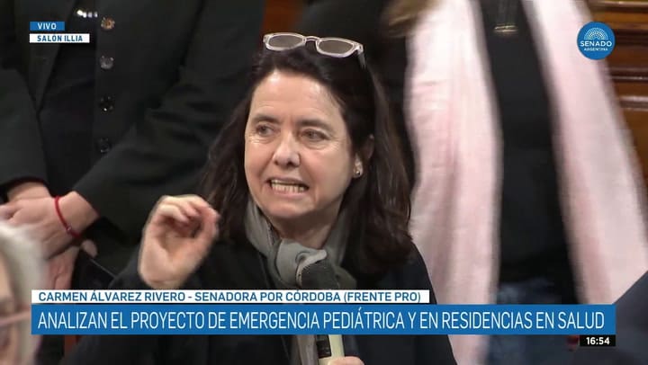 Una senadora dijo que “los chicos de la Argentina no tiene derecho a atenderse en el Garrahan”