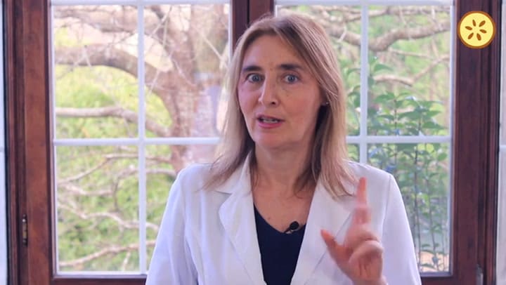 Por Esto Debes Comer Boniato Beneficios De Comer Boniato Alimentación Real Saludable