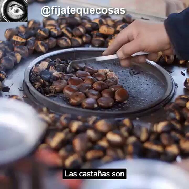 Fijatequecosas 7310574937893309729