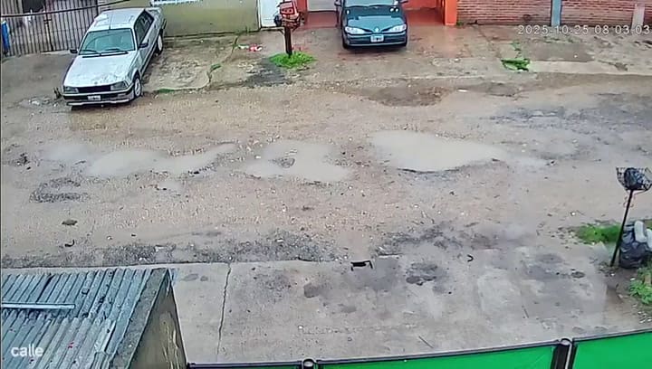 尼古拉斯·托馬斯·杜阿爾特最後露面