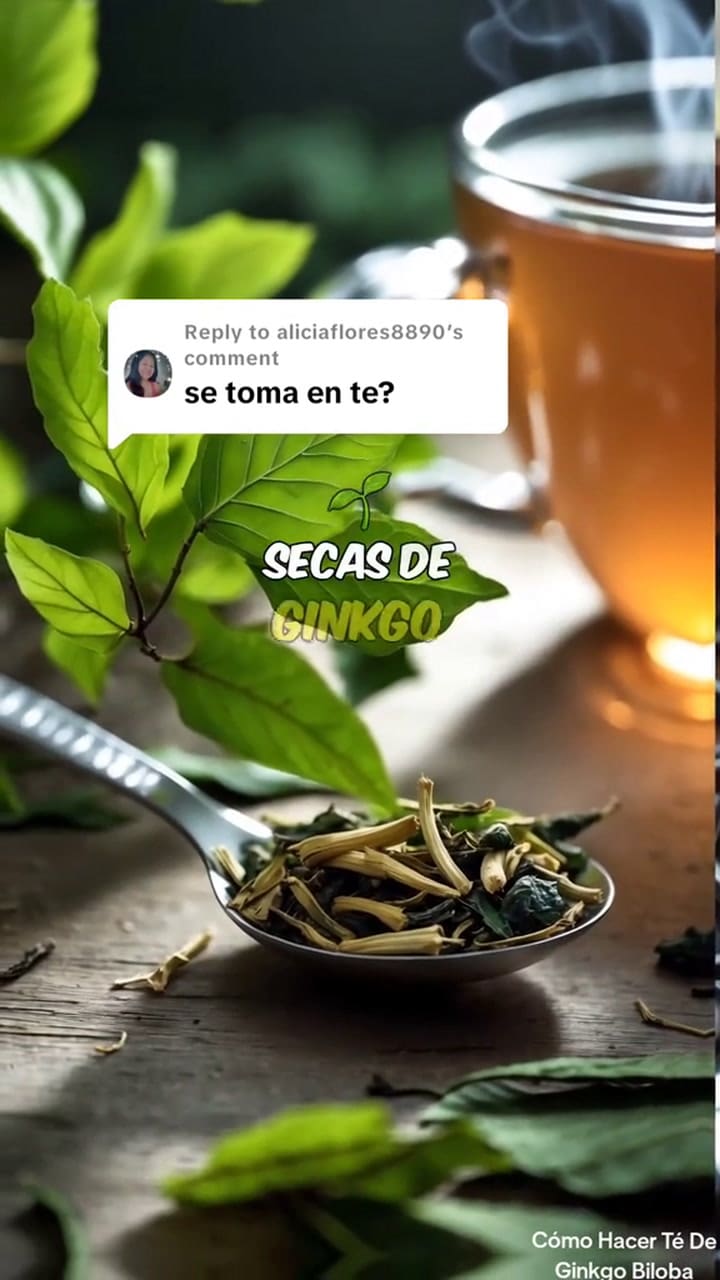 Cómo preparar un té de ginkgo biloba
