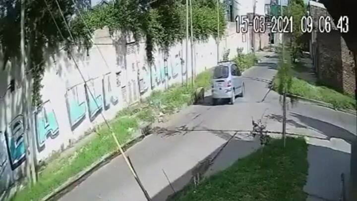 Lanús: robaron una oveja que estaba pastando en una vereda