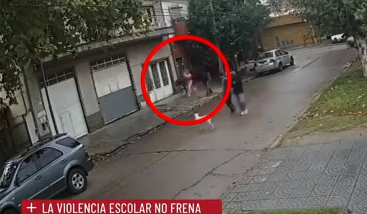 La violencia escolar no frena