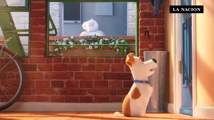 Recomendado de cine: La vida secreta de las mascotas