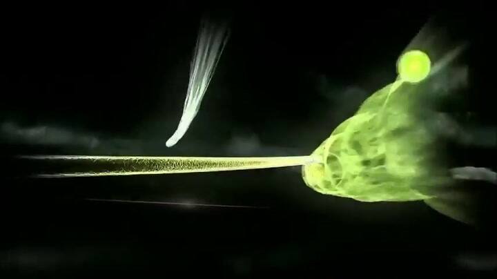 All I see is you - Trailer