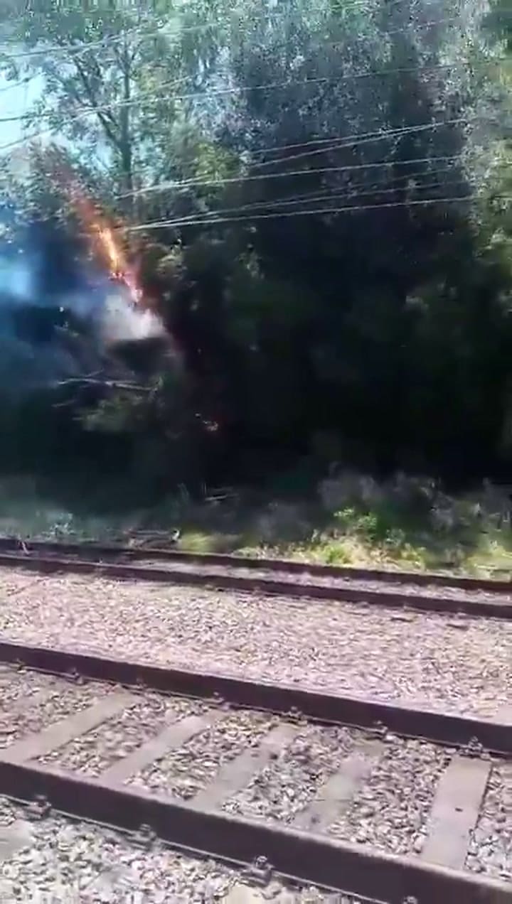 Ssstwitter.com 1735835080114