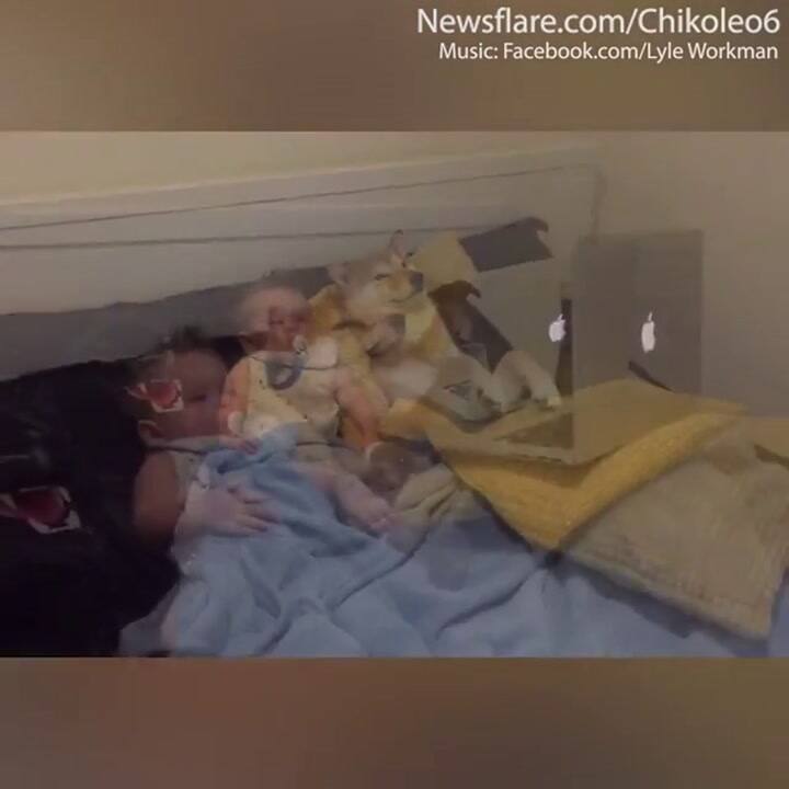 El mejor dúo para ver dibujos animados - Fuente: Daily Mail