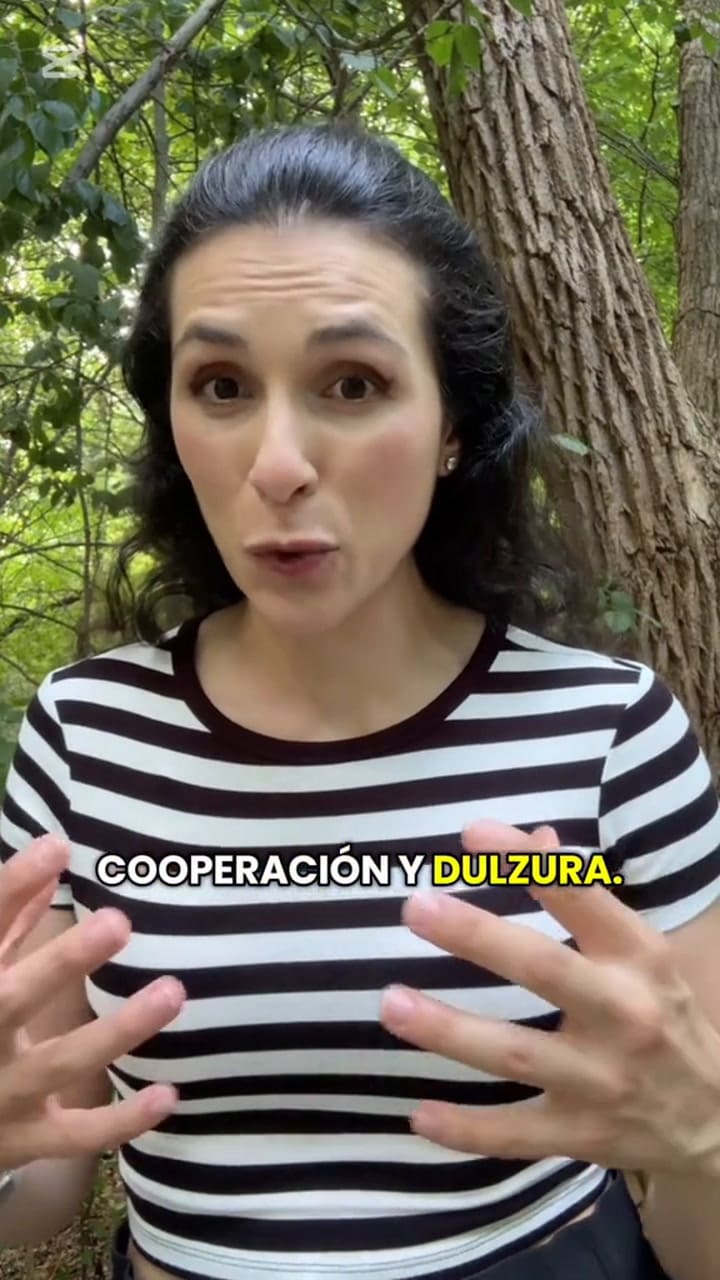 ¿Qué significa para el feng shui que aparezca una abeja en tu camino?