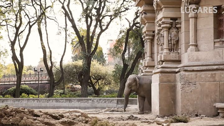EL VIAJE DE LA ELEFANTA MARA-SOFIA LOPEZ MAÑAN