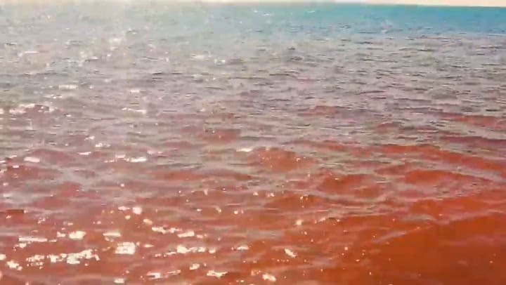 La playa de sangre ubicada en Irán atrae a miles de turistas todos los años