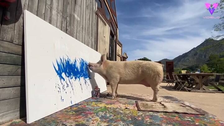 Se vende por 20.000 libras la obra de un cerdo