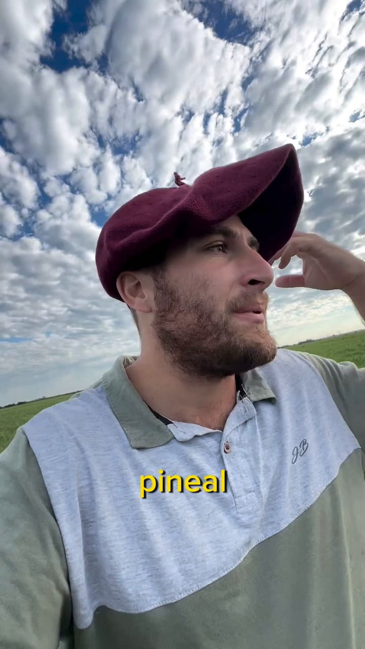 El Video De Potrancas