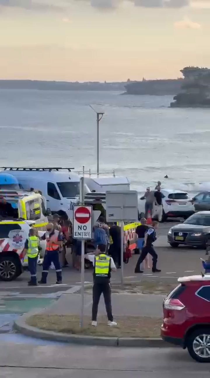 Los efectivos de seguridad que trabajaron en el lugar