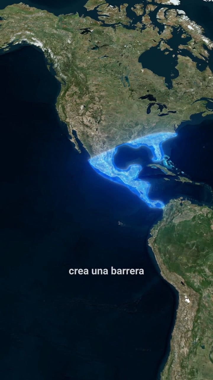 Estados Unids Arroja Millones De Moscas En Panamá