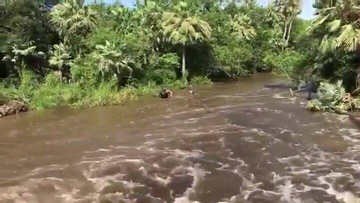Alarmante: A 19 kilómetros de Resistencia, en Chaco, la gente cruza arroyos mediante sogas - Crédito