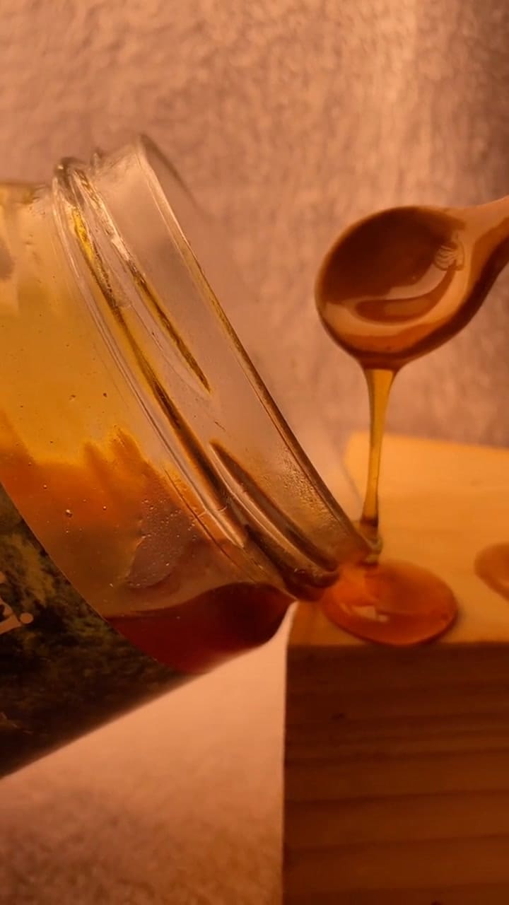 4 Tipos De Miel Que Encontraras En ???????. Miel De Bosque Nativo Miel Multifloral Silvestre Miel De Eucalipto Miel De Floración Cítrica Cada Miel Contiene Beneficios Y Características Para Nues