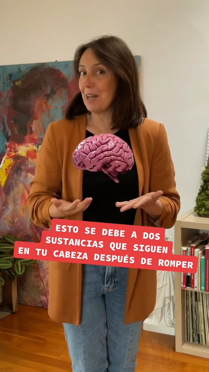 Cuáles son los químicos que actúan en el cerebro a la hora de olvidar a una persona