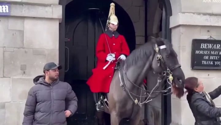 El caballo que no le gustan las fotos y lo hace notar con las personas