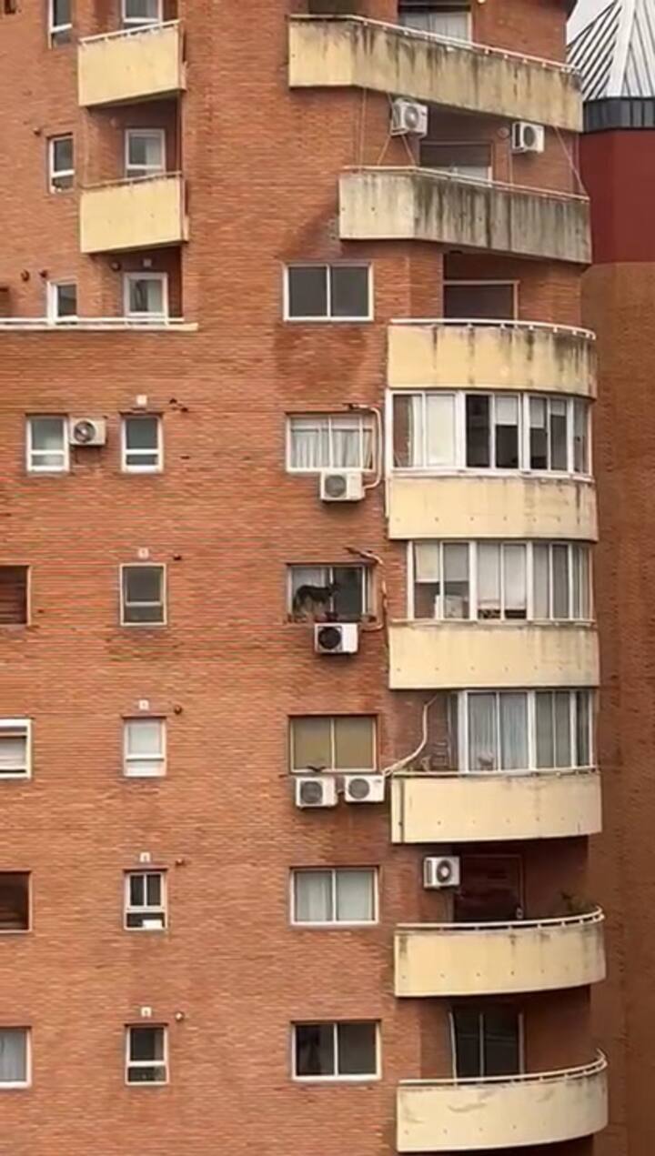 Whatsapp Video 2024-07-25 At 17.22.12